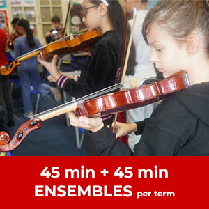 45min + 45 min Ensemble - Term Fee